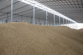 Factory on cleaning of seed