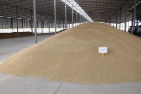 Factory on cleaning of seed