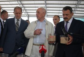 Nikolay Azarov and Anatoliy Mogilev