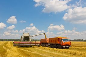 Harvesting