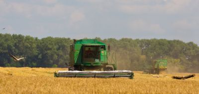 Harvesting