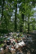 Scattered garbage