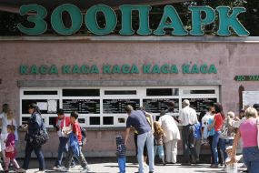 Queuing near the cash desks