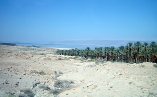 The Dead Sea
