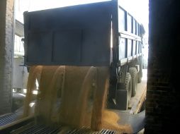 Loading the grain in elevator