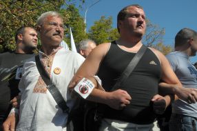 Timoshenko's supporter