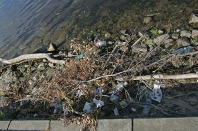 Мусор на набережной Днепра