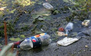 Мусор на набережной Днепра