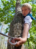 Скаут на дереві 