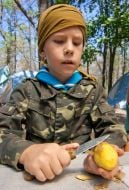 Скаут чистить картоплю