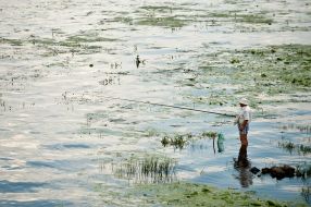 Рыбак ловит рыбу на Днепре