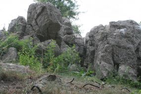 Руины бункера «Вервольф» 