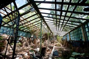 Abandoned greenhouse