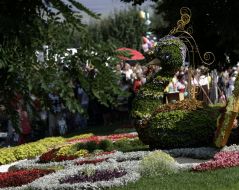 Квіткова композиція у вигляді жар-птиці