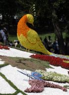 Квіткова композиція у вигляді жар-птиці