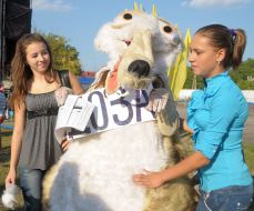 Девушки фотографируются с девушкой в ​​костюме белки