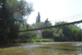 Participants of festival