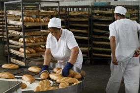 Workers at the plant