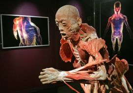 Exhibit of exhibition