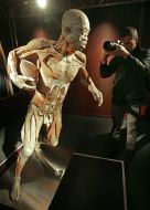 Exhibit of exhibition