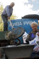 Sale of living fish
