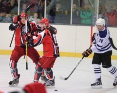 Хокей. ХК "Леви" (Львів) - ХК "Динамо" (Харків)