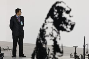 Охранник возле инсталляции "Evolution and Theory"