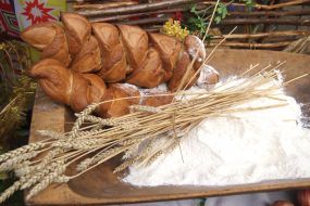«The Holiday of bread» festival