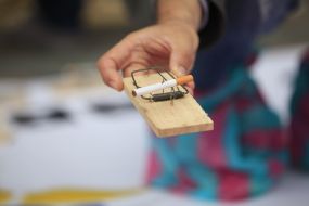 Mousetrap with cigarette