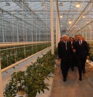 Nikolaj Azarov and Dmitrij Firtash