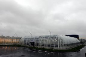 A newly built greenhouse complex