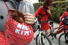 Cock
