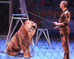 Aleksey Pinko with lion