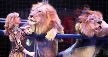 Veronika Pinko with lions