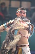 Yuriy Matvienko with Nile crocodile