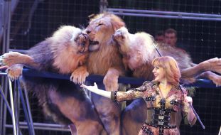 Veronika Pinko with lions