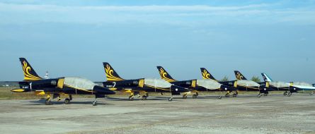 The plane Літак L-39C (Альбатрос)