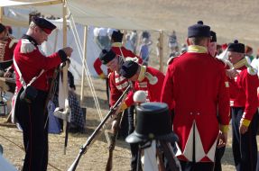 Реконструкція Альмінської битви