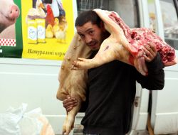 Participant of "Golden Autumn"