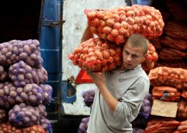 The young man carries sacks of onions