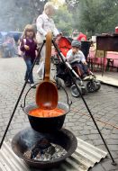 Hungarian dish "Bograch Goulash"