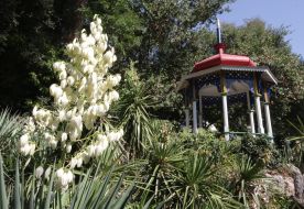 Никитский ботанический сад