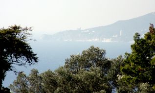 Никитский ботанический сад