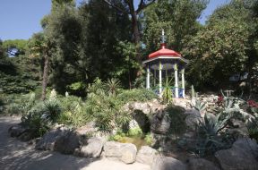 Никитский ботанический сад