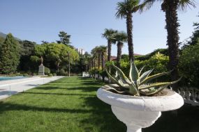 Никитский ботанический сад