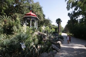 Никитский ботанический сад