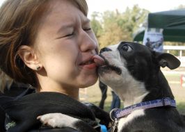 The dog licks his owner