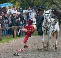 Виступ козацького каскадерського підрозділу