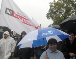 Прибічники та противники Юлії Тимошенко