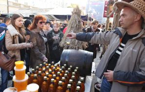 Праздник сыра и вина